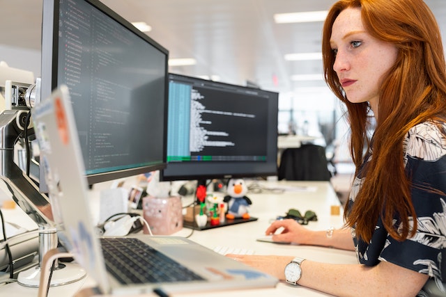 Tipos De Software: Quais São E Como Funcionam